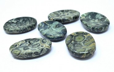 Kambaba Jasper Worry Stone
